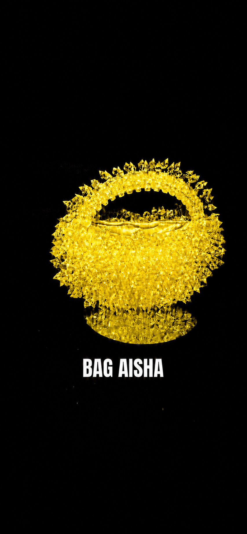 THE AISHA BAG