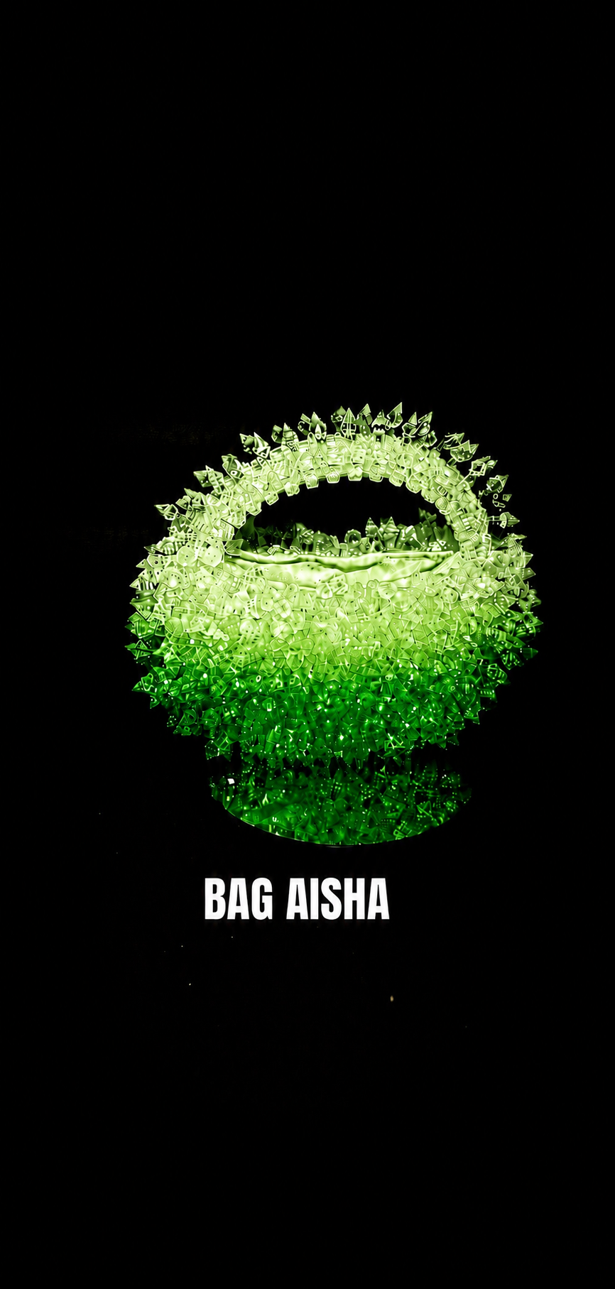 THE AISHA BAG