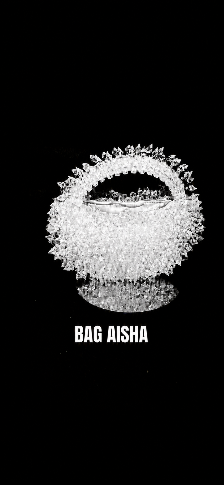 THE AISHA BAG