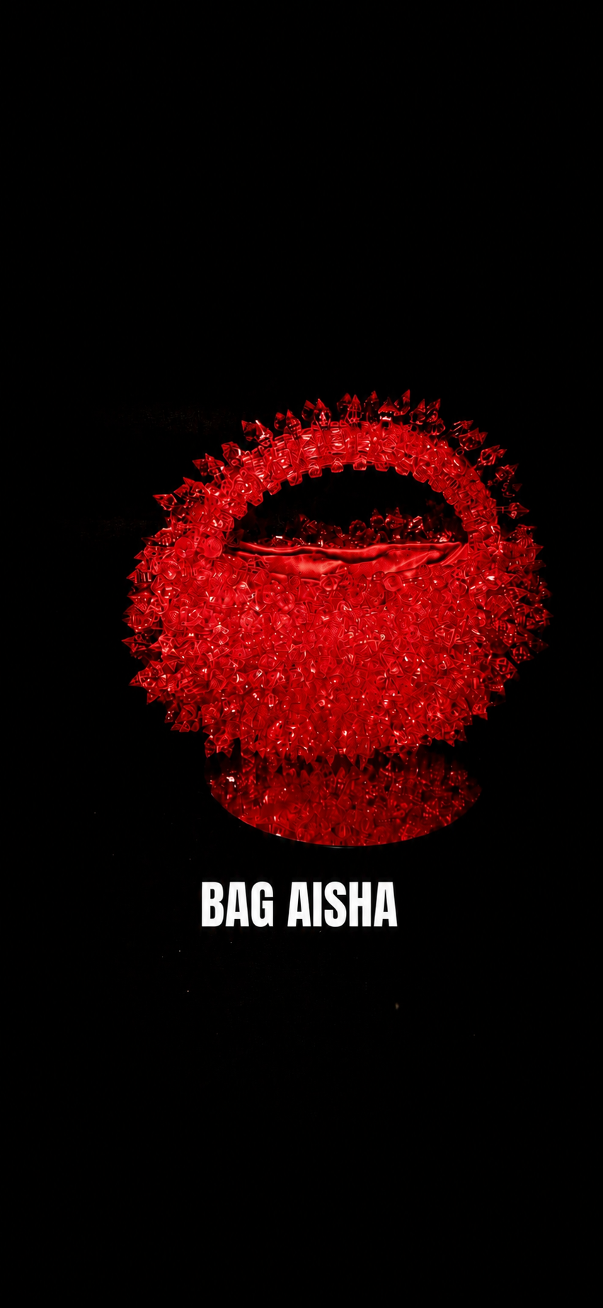 THE AISHA BAG