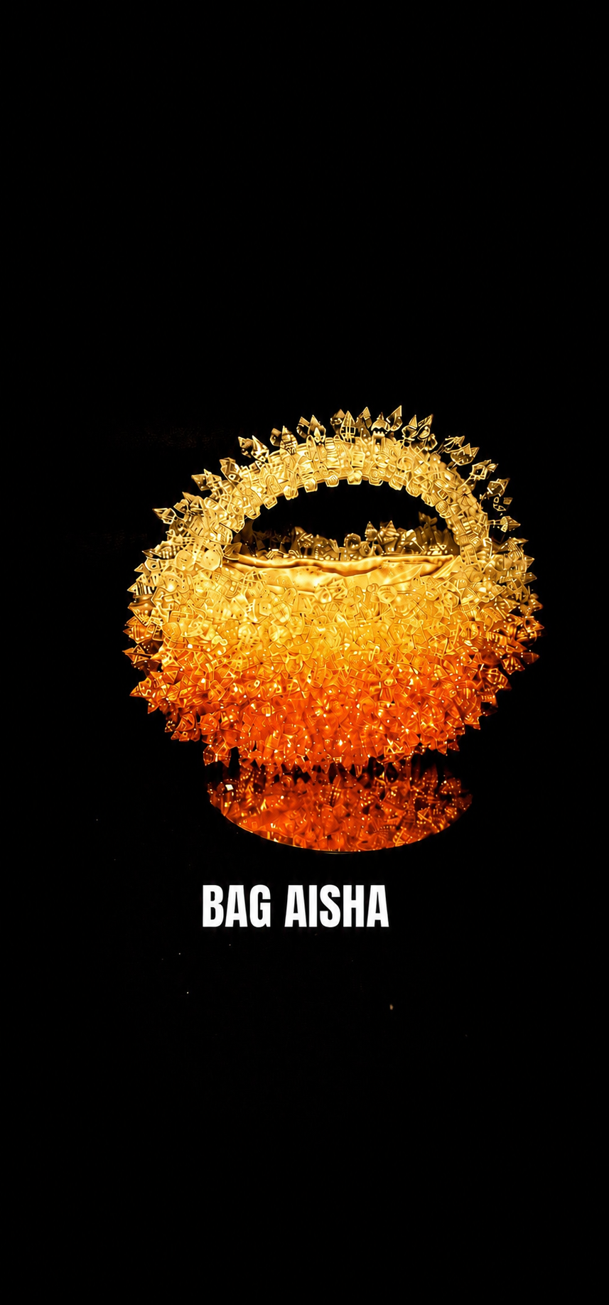 THE AISHA BAG