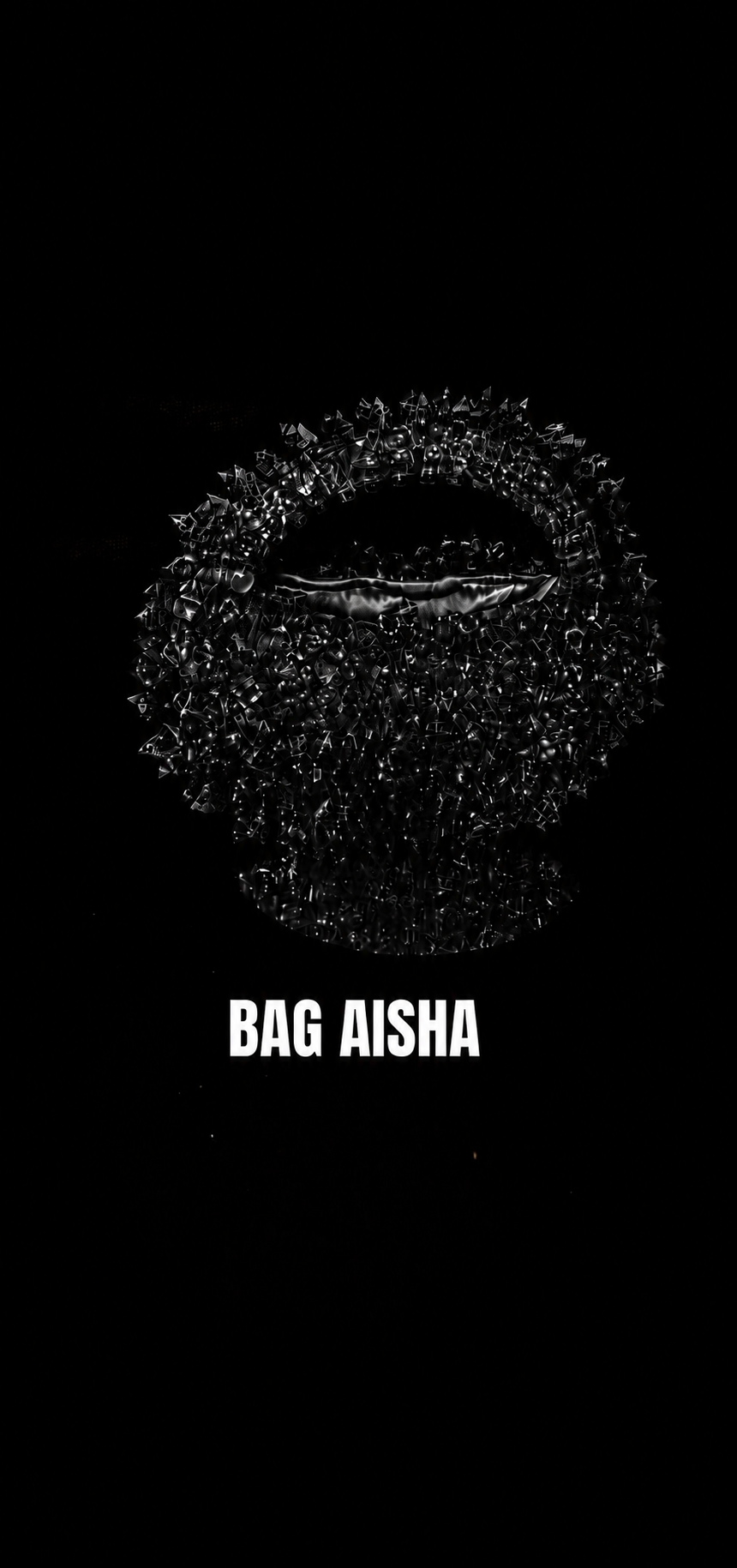 THE AISHA BAG