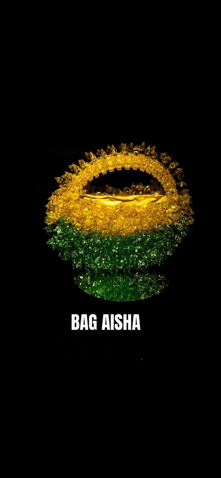 THE AISHA BAG