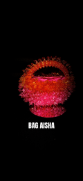 THE AISHA BAG