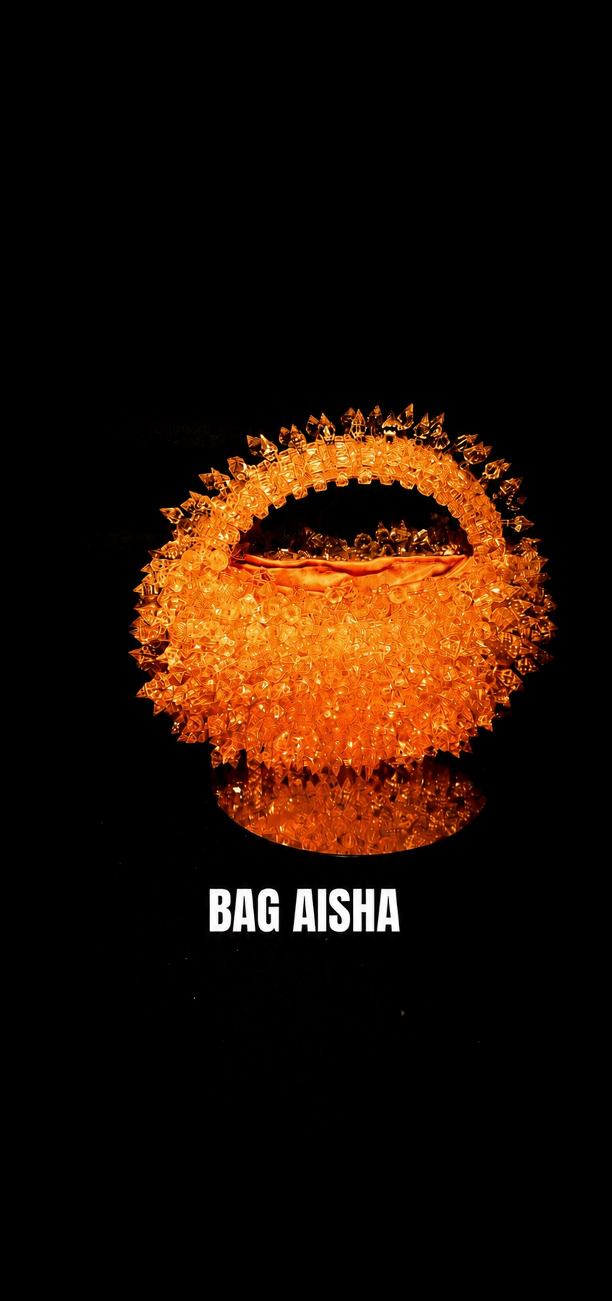 THE AISHA BAG