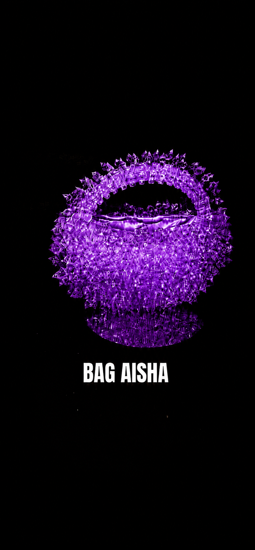 THE AISHA BAG