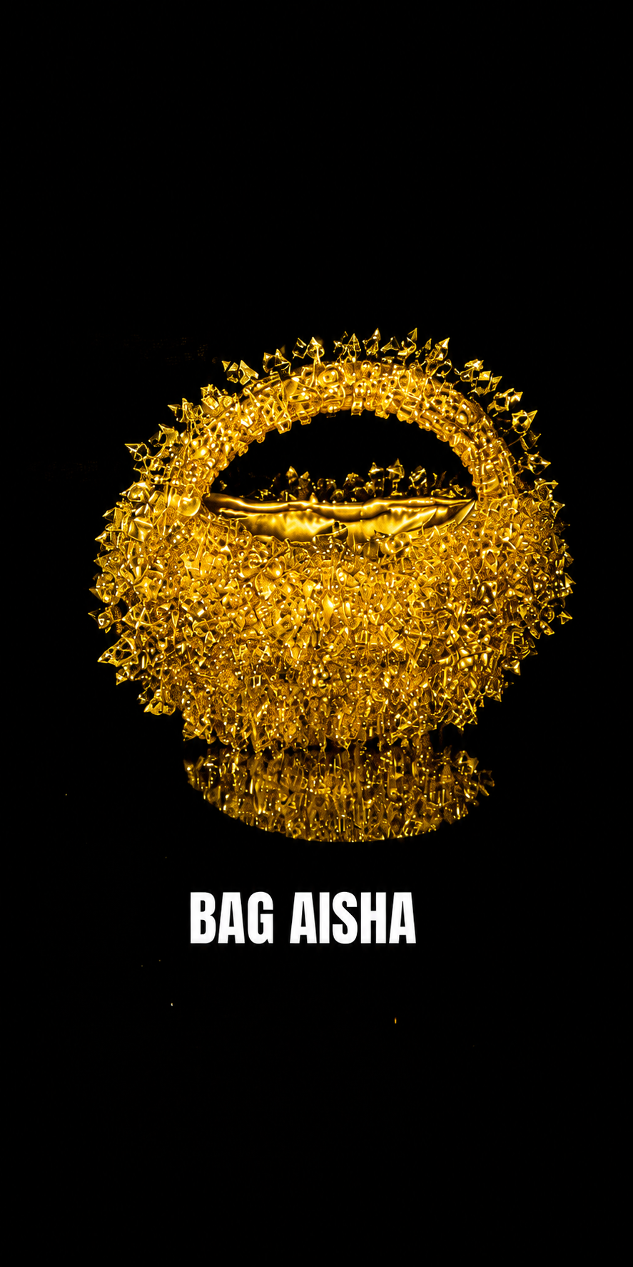 THE AISHA BAG